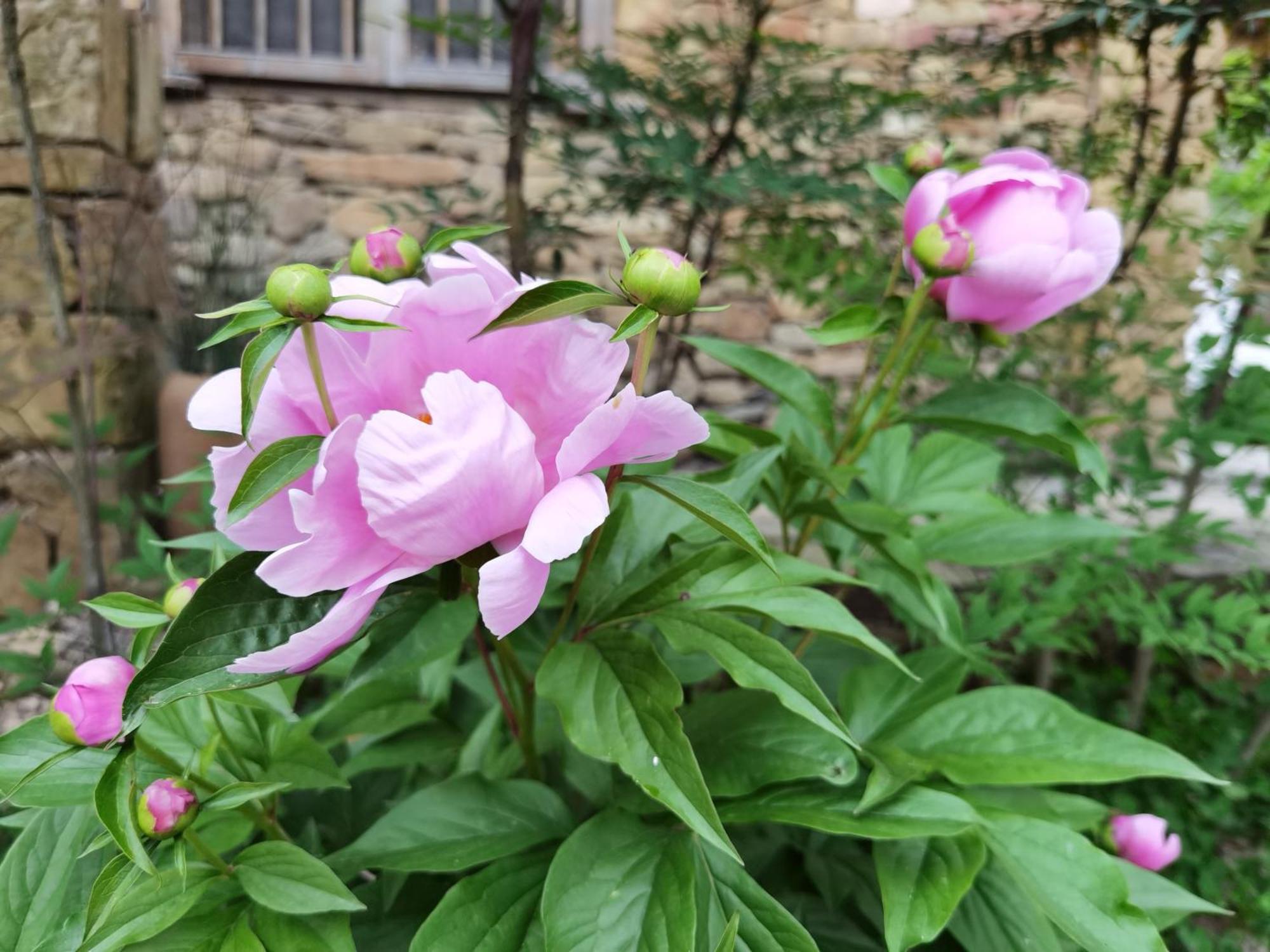 Dayong Antique Feature Resort 장가계 외부 사진