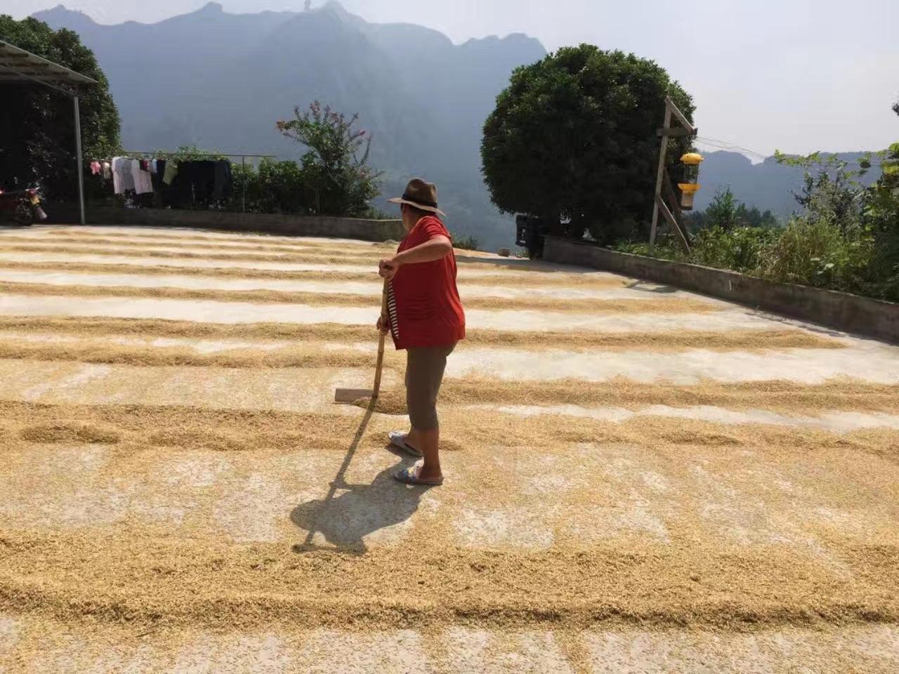 Dayong Antique Feature Resort 장가계 외부 사진